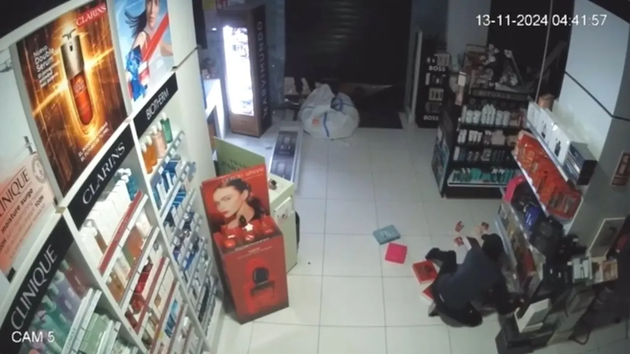 Cae un grupo de aluniceros dedicado al robo de perfumes en Albacete y Murcia