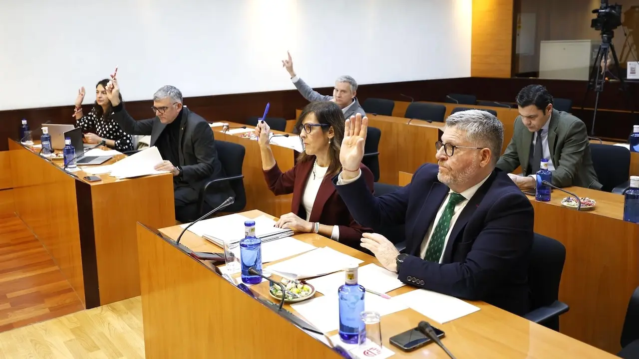 En la imagen un instante de la reunión de la Comisión de Educación, Cultura y Deportes de las Cortes de Castilla-La Mancha