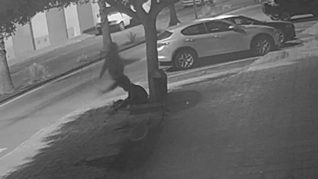 Imagen del momento en que le clavan una patada en la cabeza a la víctima / Guardia Civil