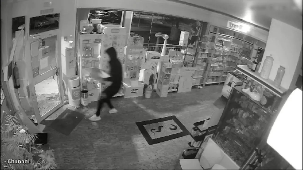 Siete detenidos por robar en una veintena de comercios de Toledo y Madrid