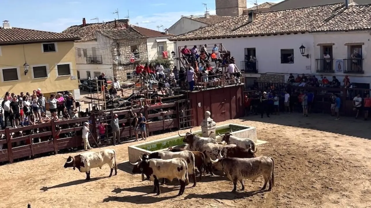 Fuentelencina (Guadalajara), un pequeño pueblo con cuatro plazas de toros y gran afición taurina