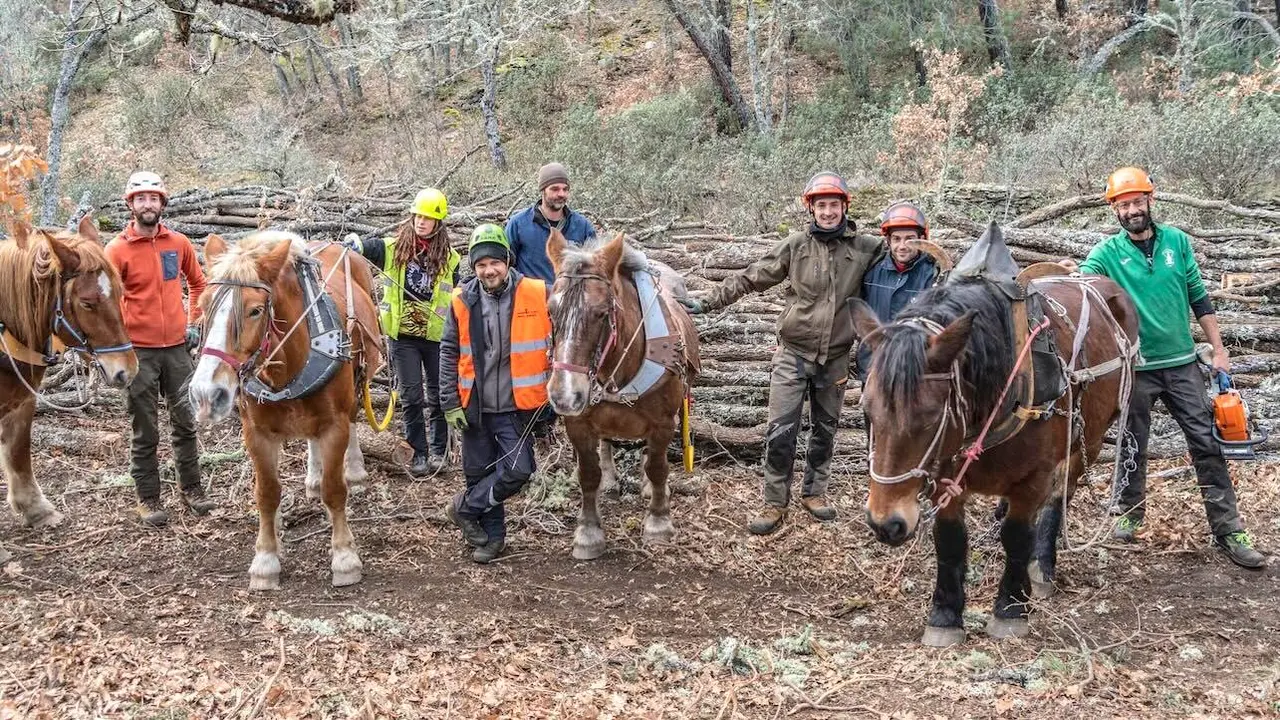 Un proyecto en la Sierra Norte busca frenar el cambio climático e impulsar el desarrollo rural - EFE/ Beatriz Retuerta