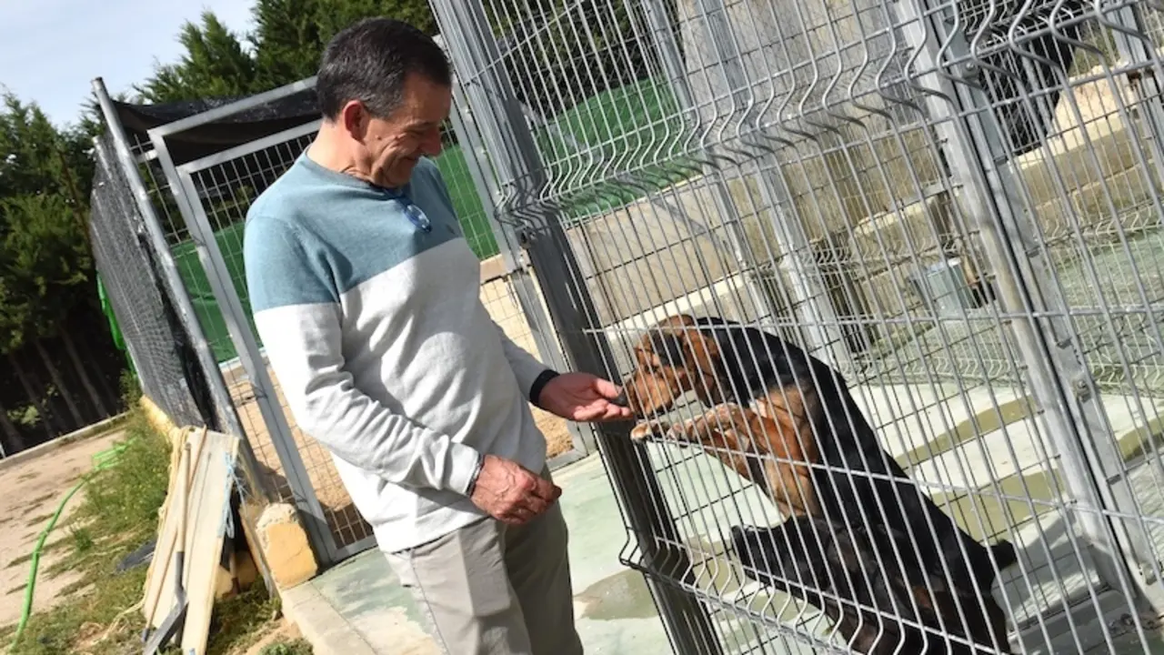 El Albergue Provincial de Animales de Cuenca finaliza 2024 con más adopciones que entradas