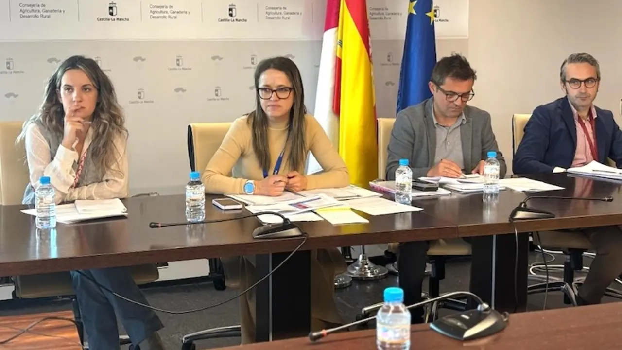 En la imagen un instante de la reunión de la Comisión de Seguimiento del Plan Estratégico de la PAC (PEPAC)