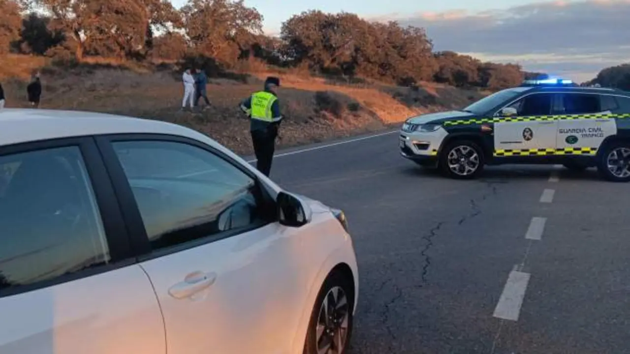 Asesinado a tiros en una carretera: amenazas de muerte y crímenes familiares, tiroteo, cadáver, accidente, atropello