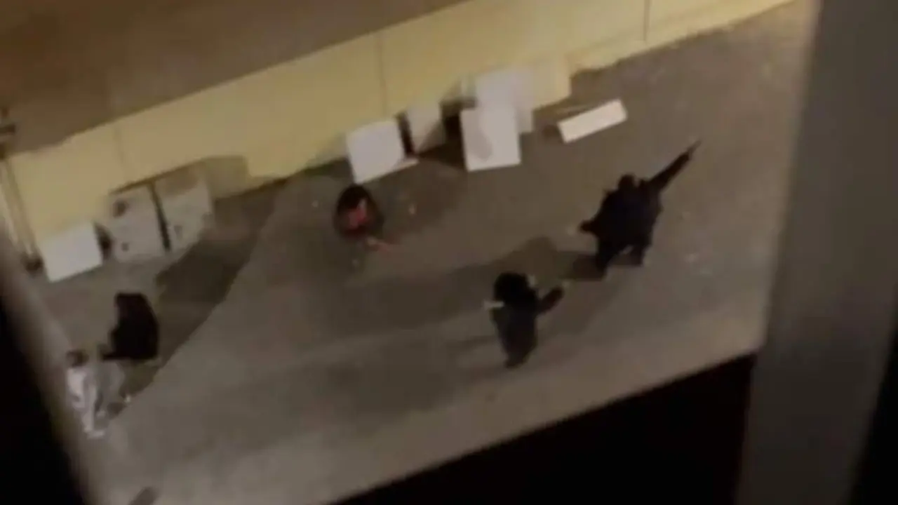 VIDEO. Espectacular tiroteo en plena calle: numerosos disparos y varios heridos
