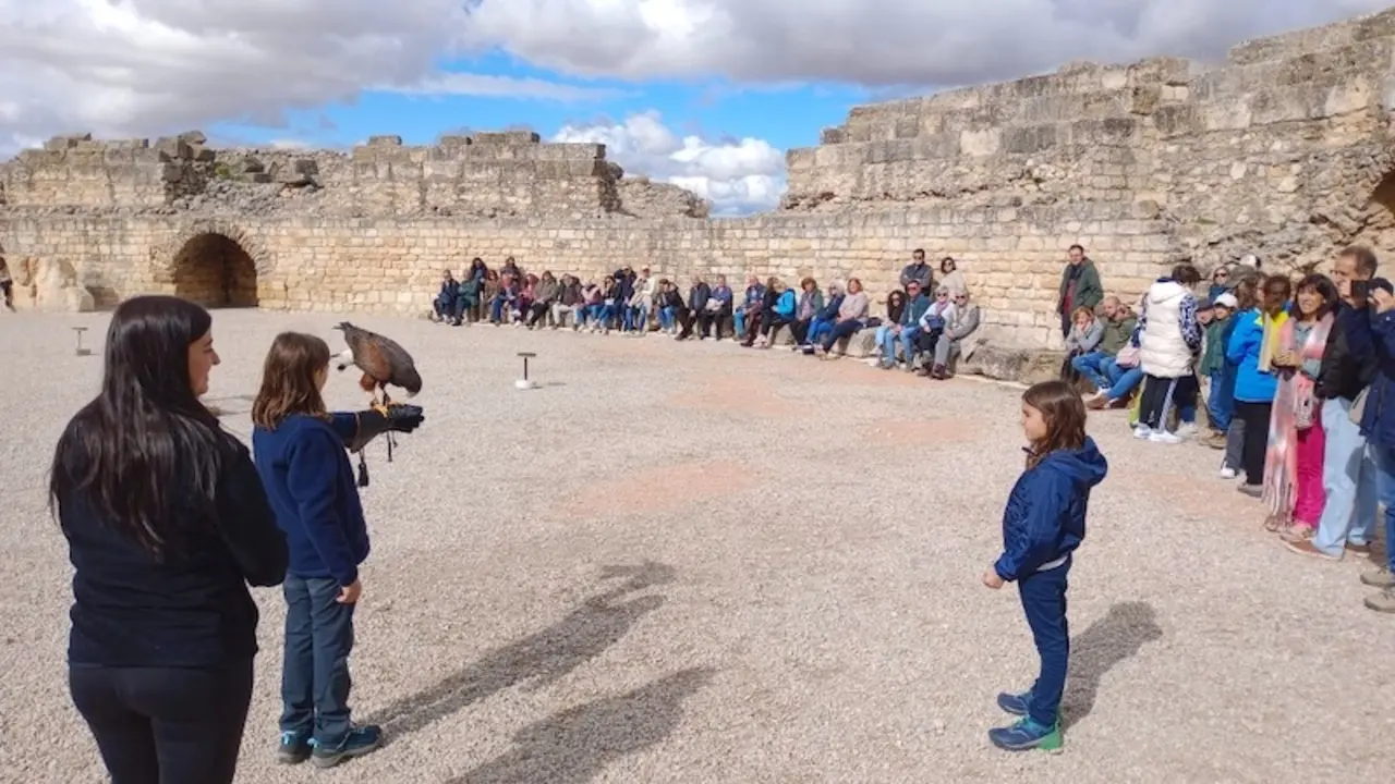 Segóbriga registró 58.300 visitantes en 2024, por encima de su media histórica