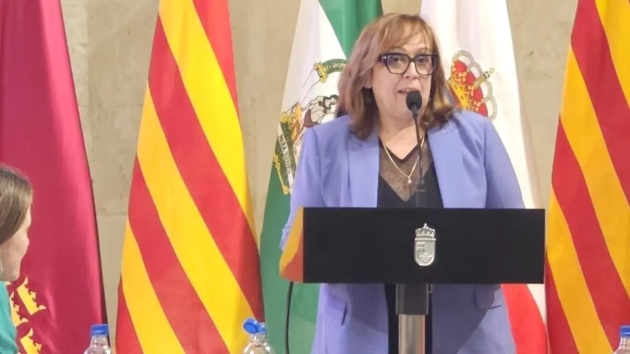 La viceconsejera de Cultura y Deportes de Castilla-La Mancha, Carmen Teresa Olmedo, durante su intervención en el Consejo de Patrimonio Histórico