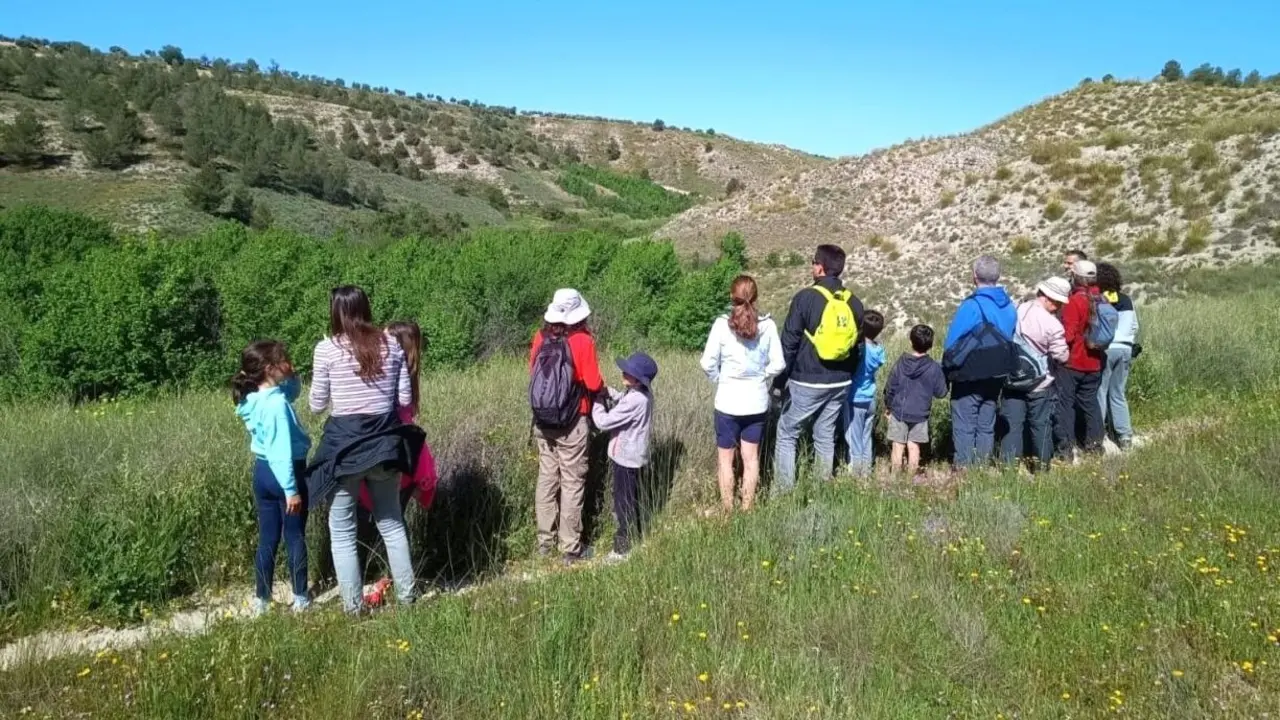 Castilla-La Mancha celebra con actividades gratuitas el Día Mundial de la Educación Ambiental