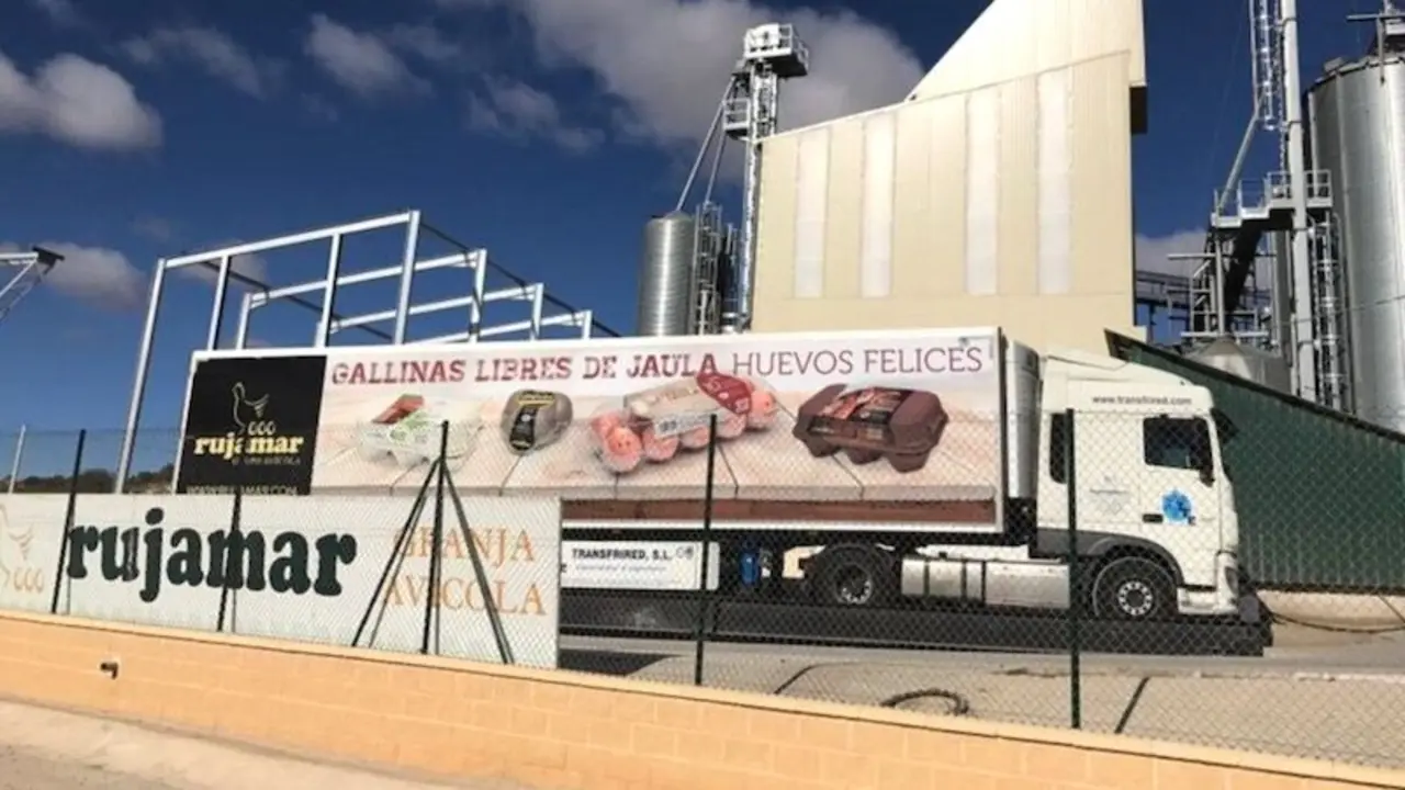 Autorizan una explotación para casi 200.000 gallinas de puesta en Honrubia (Cuenca), cuyo promotor es la mercantil Grupo Avícola Rujamar