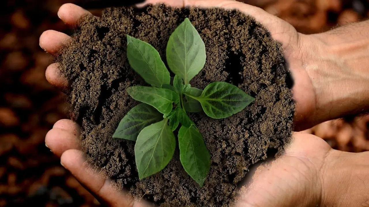  Bioeconomía circular: el futuro de la sostenibilidad agroalimentaria 
