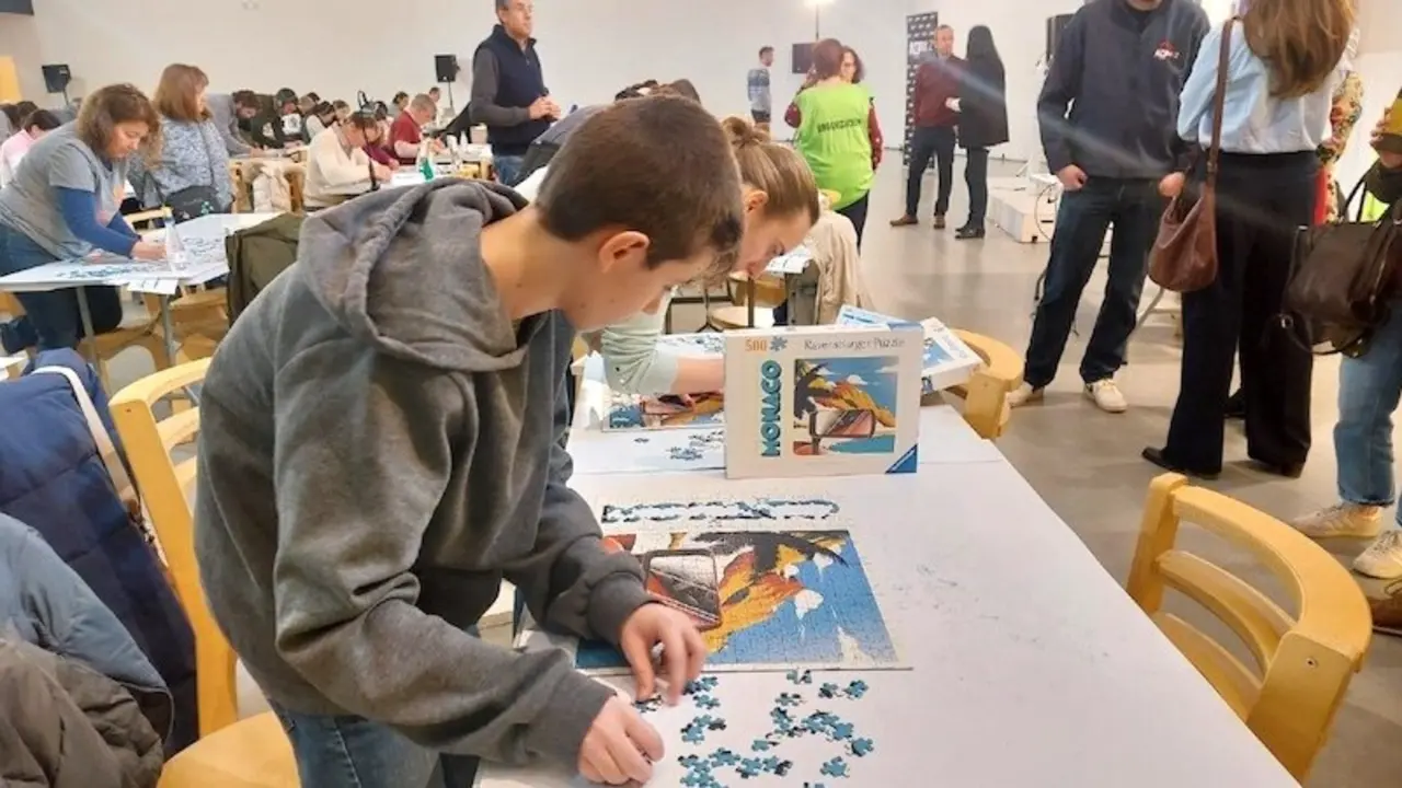 El guadalajareño Gabriel Moreno, de 13 años, gana el Torneo de Puzzles de Ávila - Fotografía: Avilared