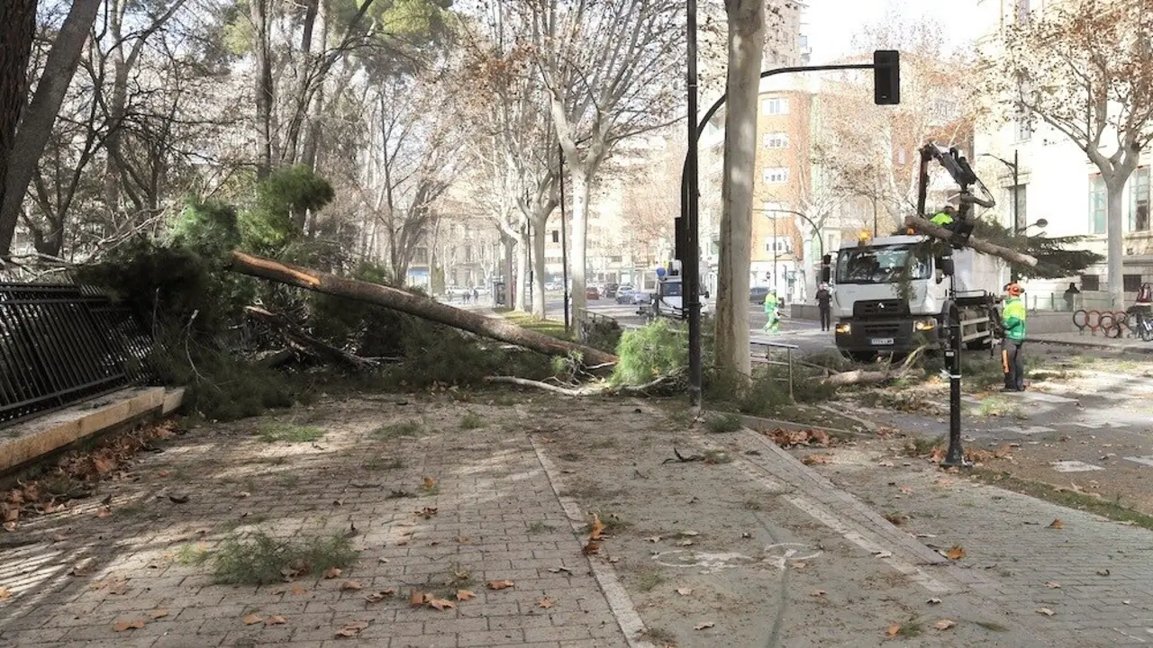 Las fuertes rachas de viento, que han llegado hasta los 109 kilómetros por hora en Albacete, han dejado numerosas incidencias en la provincia, la mayoría de ellas en la capital, donde el viento del suroeste ha llegado a soplar hasta los 95 kilómetros por hora - EFE/ Manu