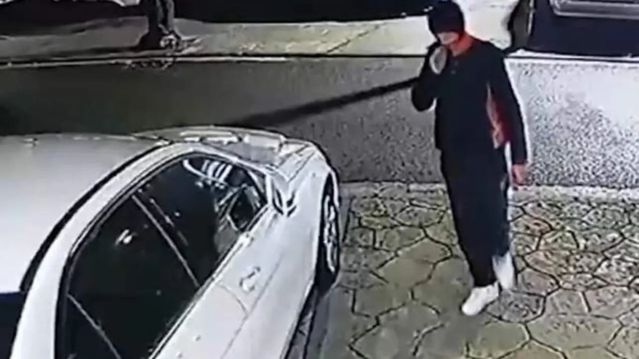 VIDEO. Roba en 13 coches en horas, pero se deja grabar y lo mancha todo de sangre