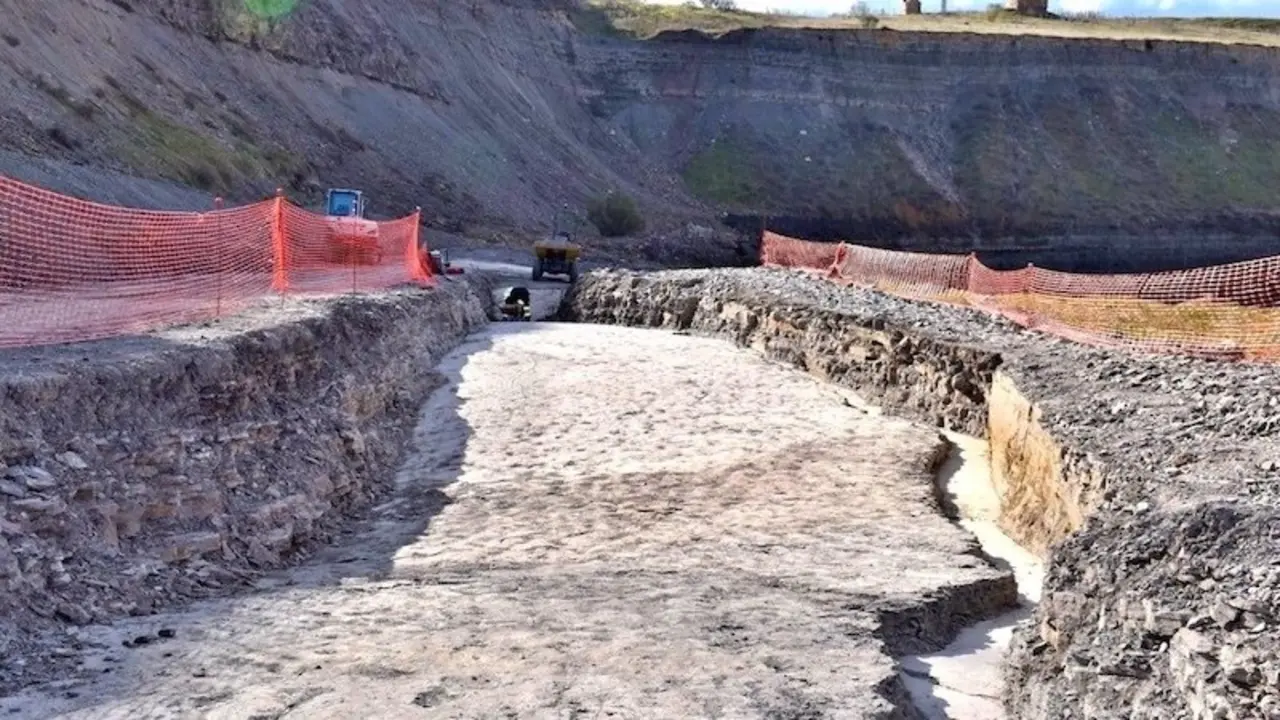 Las excavaciones en el Carbonífero de Puertollano (Ciudad Real) descubren artrópodos de hace 300 millones de años