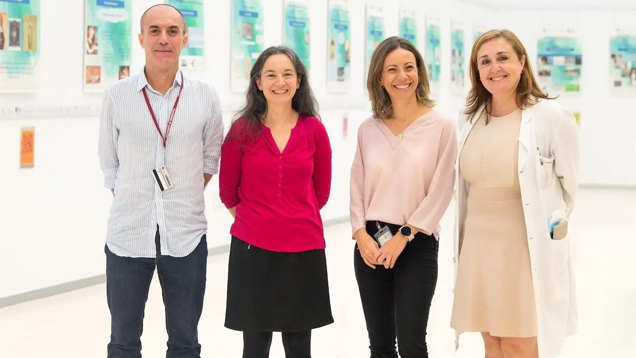Consiguen reconectar la médula espinal totalmente seccionada de una rata gracias a espumas de grafeno