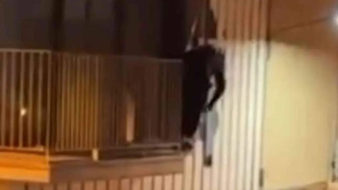 VIDEO. Destroza la fachada intentando ocupar un piso y tira piedras a los policías