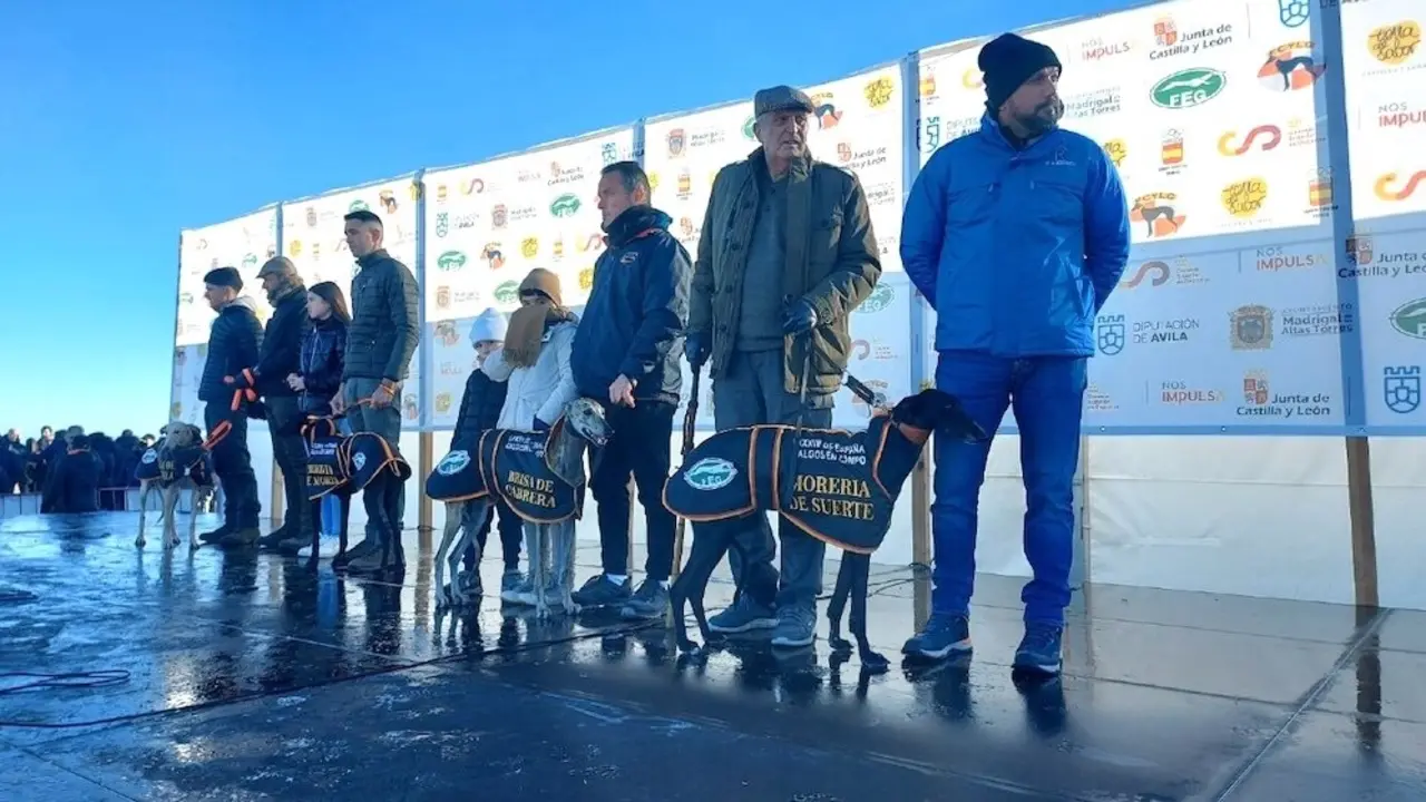 Las dos castillas se disputarán el LXXXVII Campeonato de España de Galgos