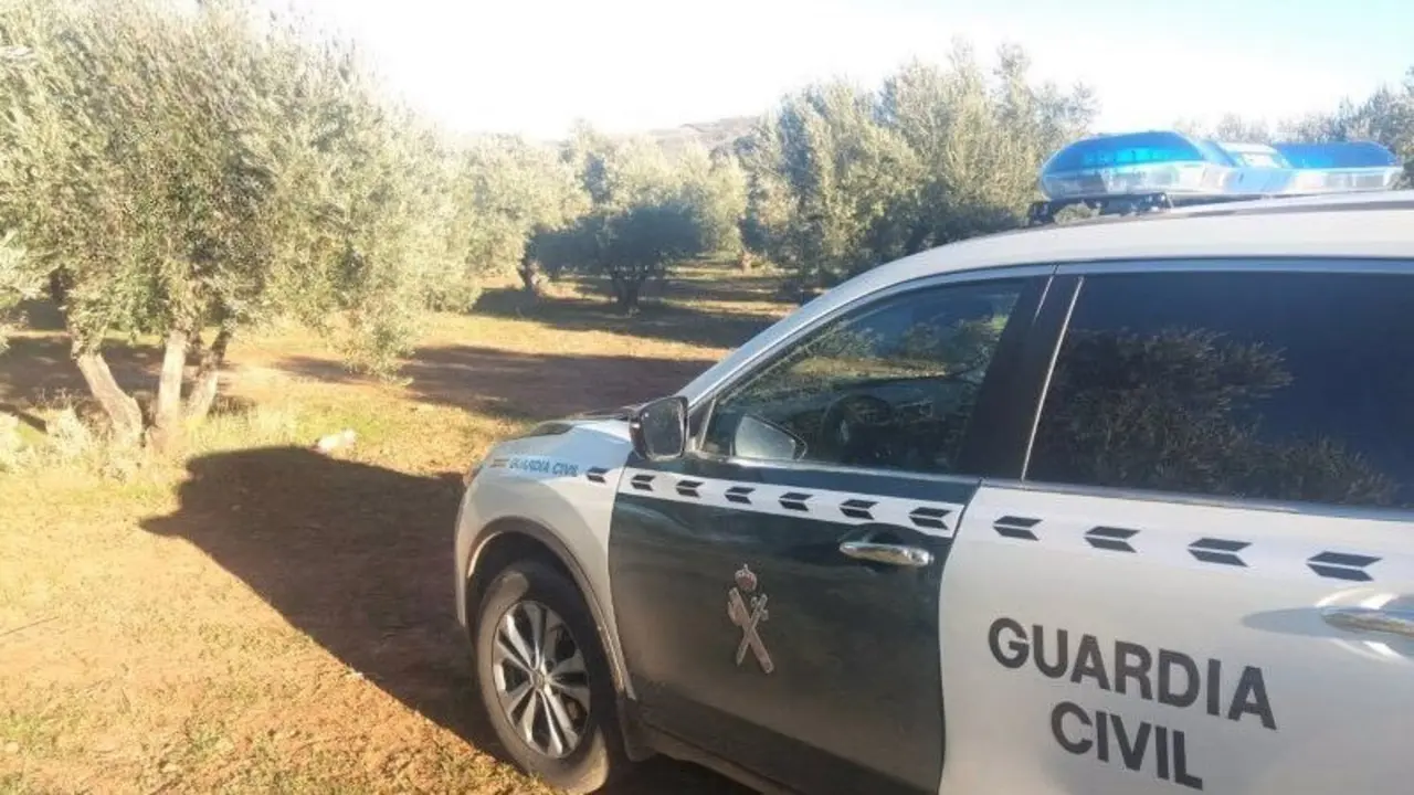 olivar, guardia civil, seprona, paraje, campo, equipo ROCA, aceituna, robos, patrulla