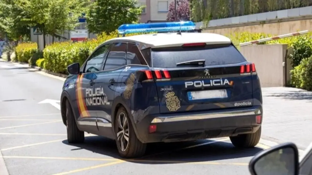 policía nacional, patrulla, detenido,