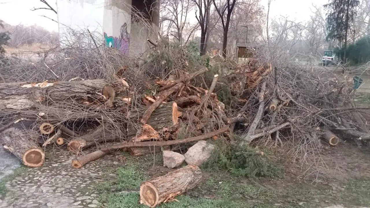 Denuncian la política de desmantelamiento de zonas verdes sin control en Toledo