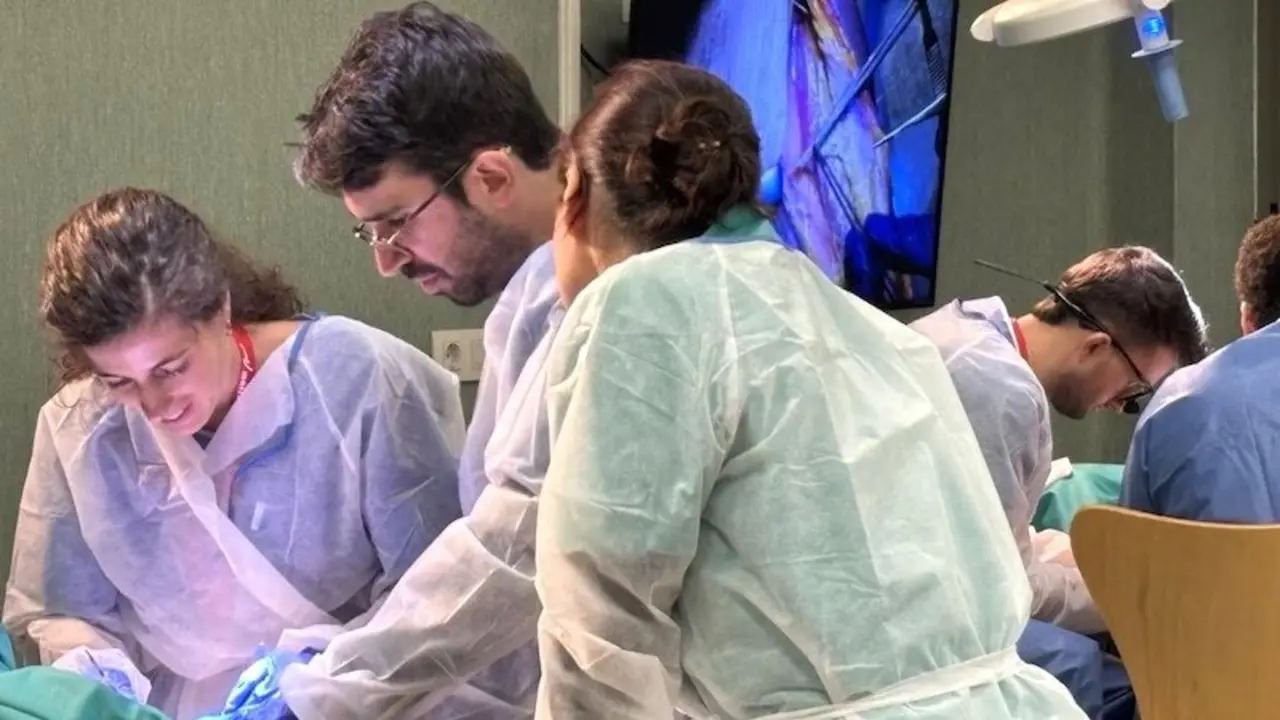 El Servicio de Cirugía Maxilofacial del Hospital de Albacete organiza curso teórico y práctico de alto nivel