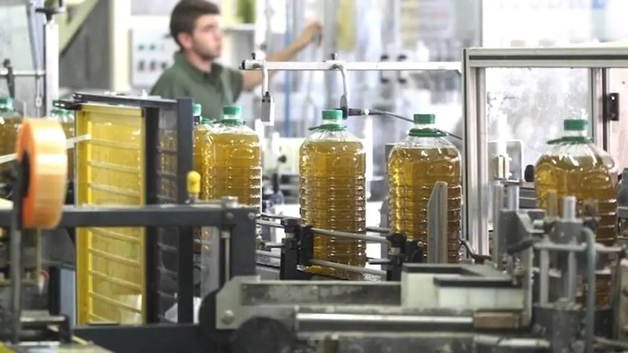 aceite, cooperativa, envasadora, aceite de oliva,