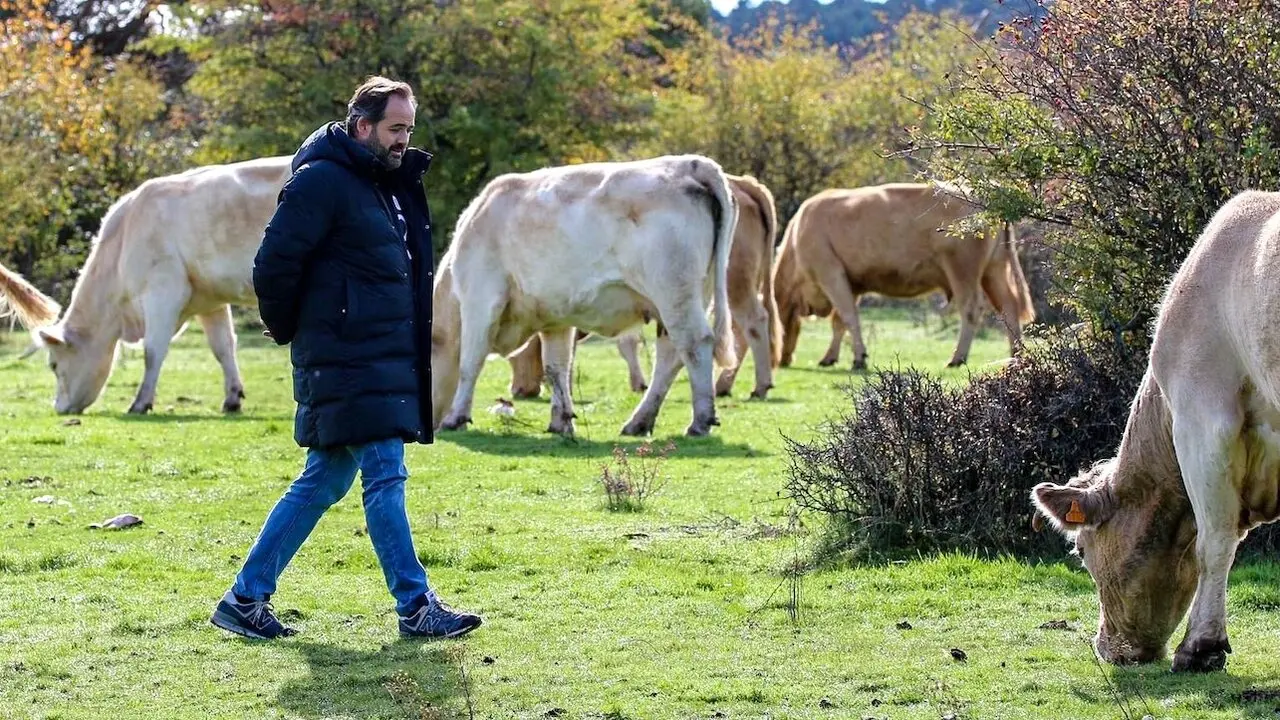 El presidente del PP de Castilla-La Mancha, Paco Núñez, durante una visita a una explotación ganadera