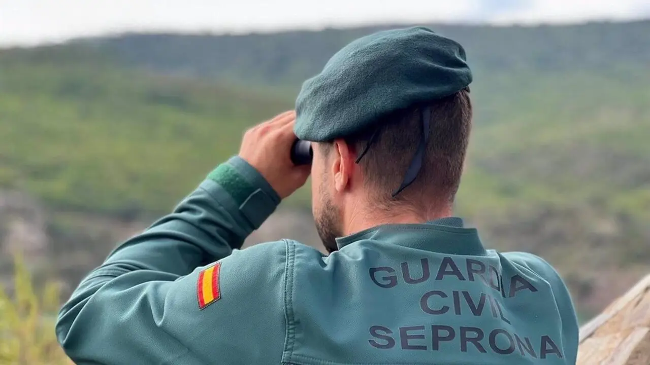 Guardia Civil, SEPRONA, agente, patrulla, medio ambiente, monte,