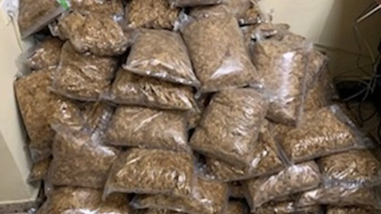 Detenido el conductor de un camión con 363 kilogramos de tabaco de contrabando