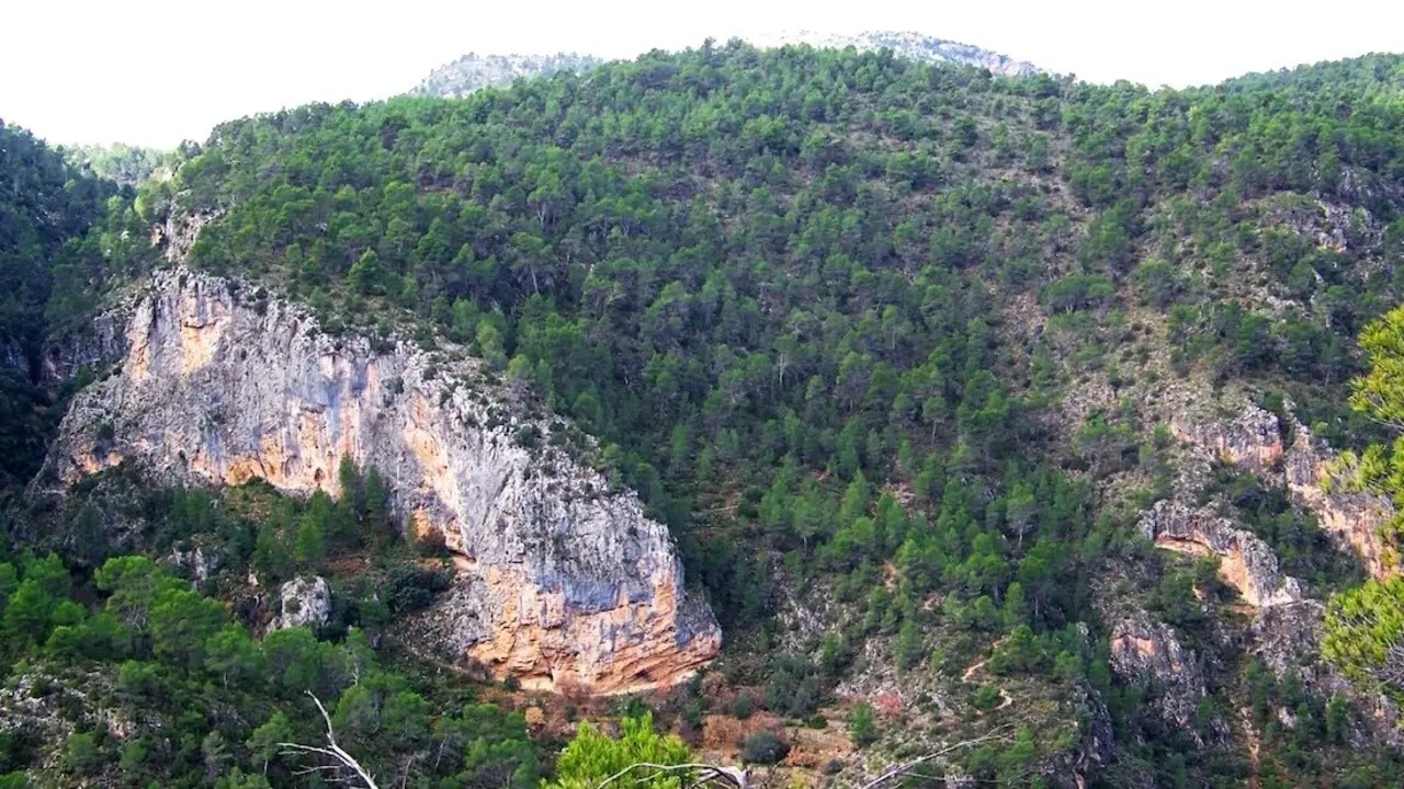 Los siete parques naturales de Castilla-La Mancha realizarán actividades por el Día de los Bosques