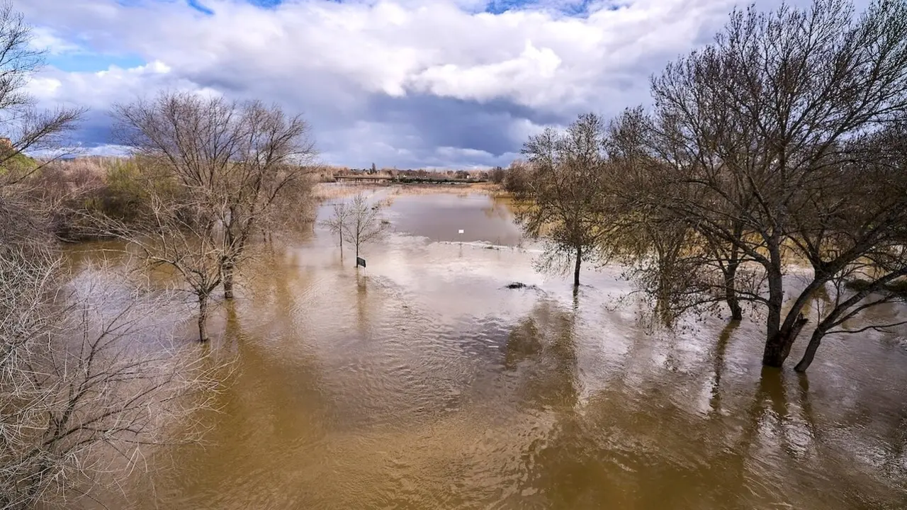El municipio toledano de Escalona está pendiente este lunes de la evolución del caudal del río Alberche, tras la crecida del cauce que provocó el desalojo de 50 viviendas en la tarde de este domingo - EFE/Manu Reino