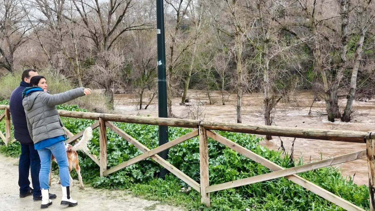 Imagen del cauce del rio Henares este lunes, a su paso por la ciudad de Guadalajara - EFE/Pepe Zamora