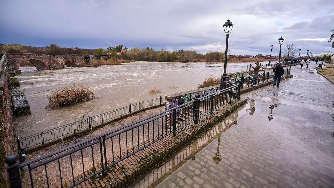 Vista de la crecida del río Tajo a su paso por en Talavera de la Reina (Toledo) este martes - EFE/Manu Reino