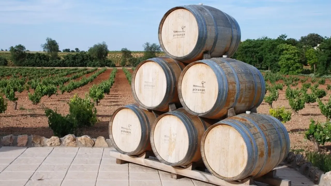 bodega, cooperativas, vino, bodegas, barricas, viñedo, vendimia, viñedos,