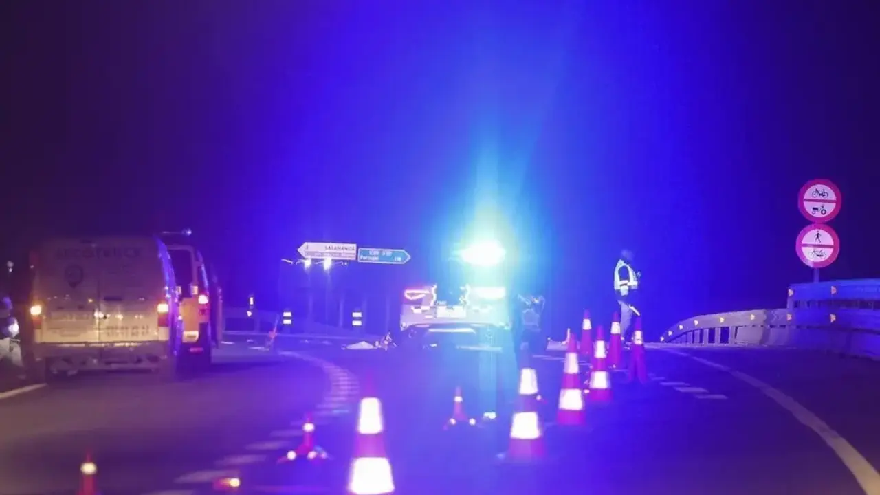 accidente, tráfico, choque, colisión, control de tráfico, atropello, atropellado,