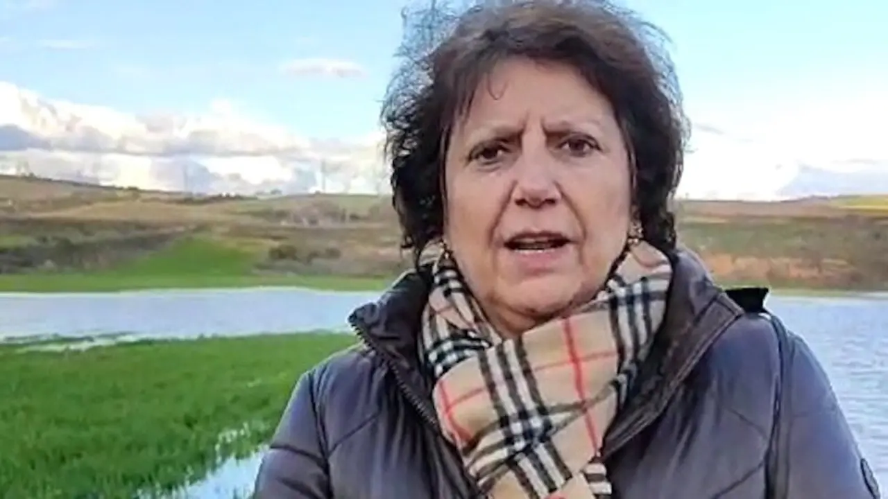 La diputada provincial del PP en el Diputación de Guadalajara, Concha Casado