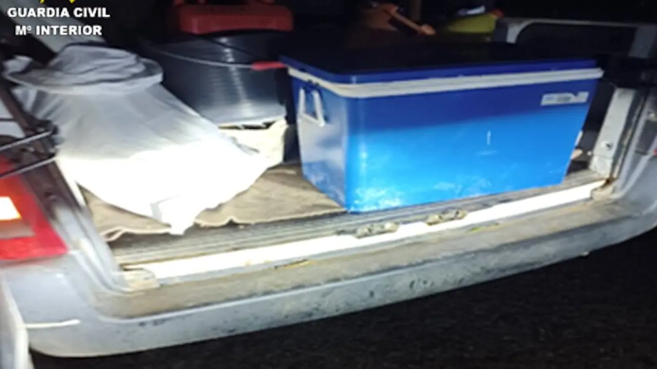 Tres detenidos de una banda dedicada a robar con fuerza en casas y naves agrícolas de Ciudad Real
