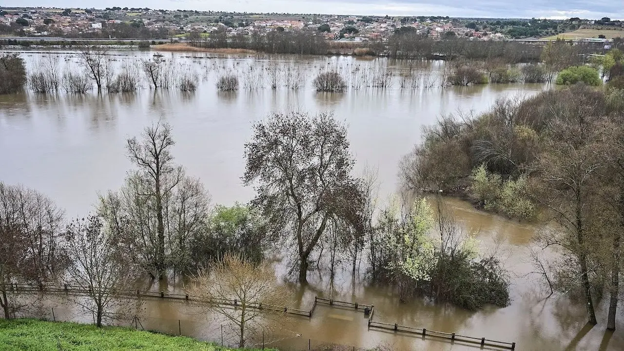 En la imagen la crecida del río Alberche este jueves a su paso por la localidad toledana de Escalona - EFE/Manu Reino