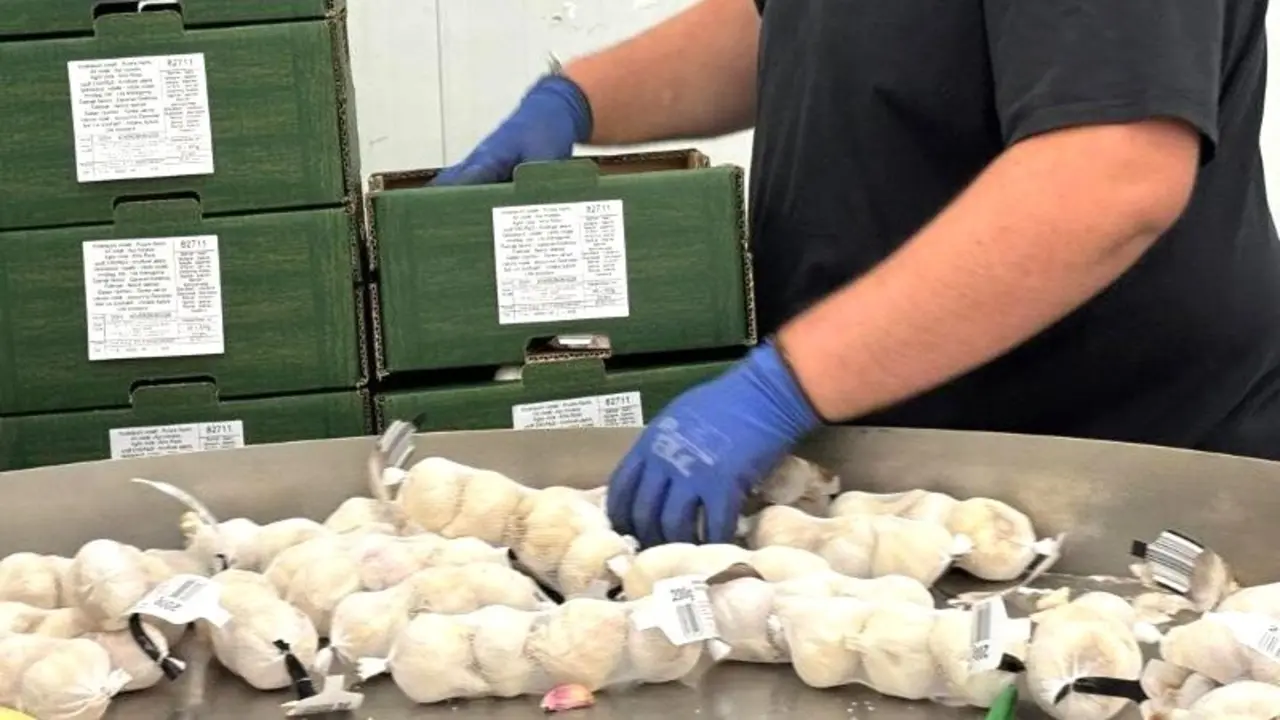 Castilla-La Mancha ayuda con 3,8 millones a agrupaciones de productores agroalimentarios