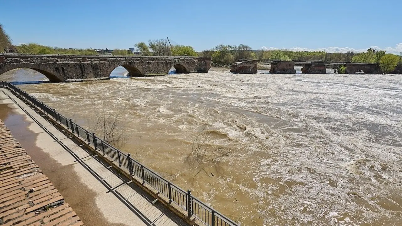 Imagen del río Tajo este miércoles a su paso por Talavera de la Reina (Toledo) con el Puente Viejo de fondo, derrumbado en parte el pasado sábado debido a la crecida del caudal - EFE/Manu Reino