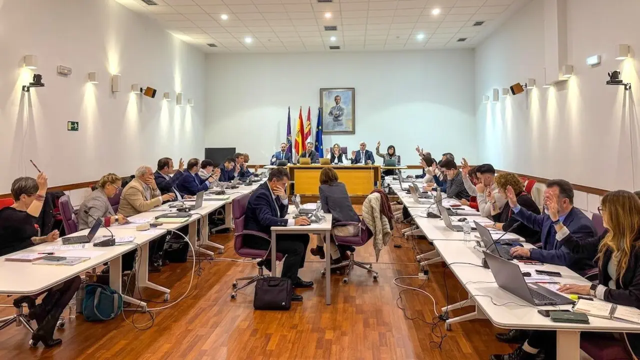 En la imagen un instante del Pleno del Ayuntamiento de Guadalajara celebrado este viernes
