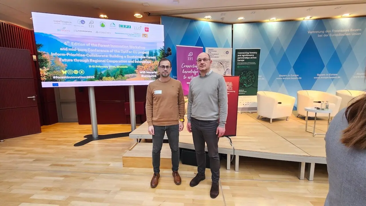 El Gobierno de Castilla-La Mancha comparte experiencias en un foro internacional por la innovación forestal en Bruselas junto a otras regiones y actores claves del sector
