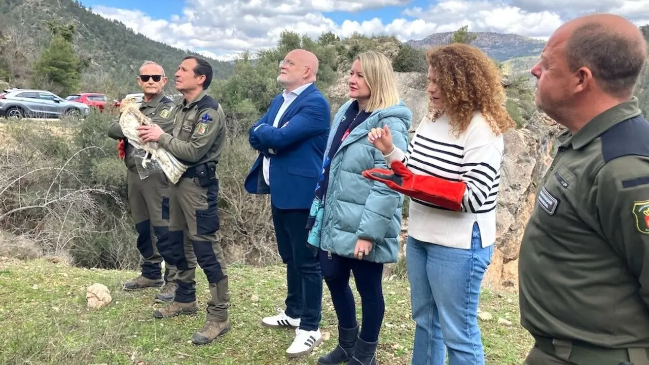 &nbsp;Reintroducida una joven de águila culebrera en el medio natural en Bogarra (Albacete)