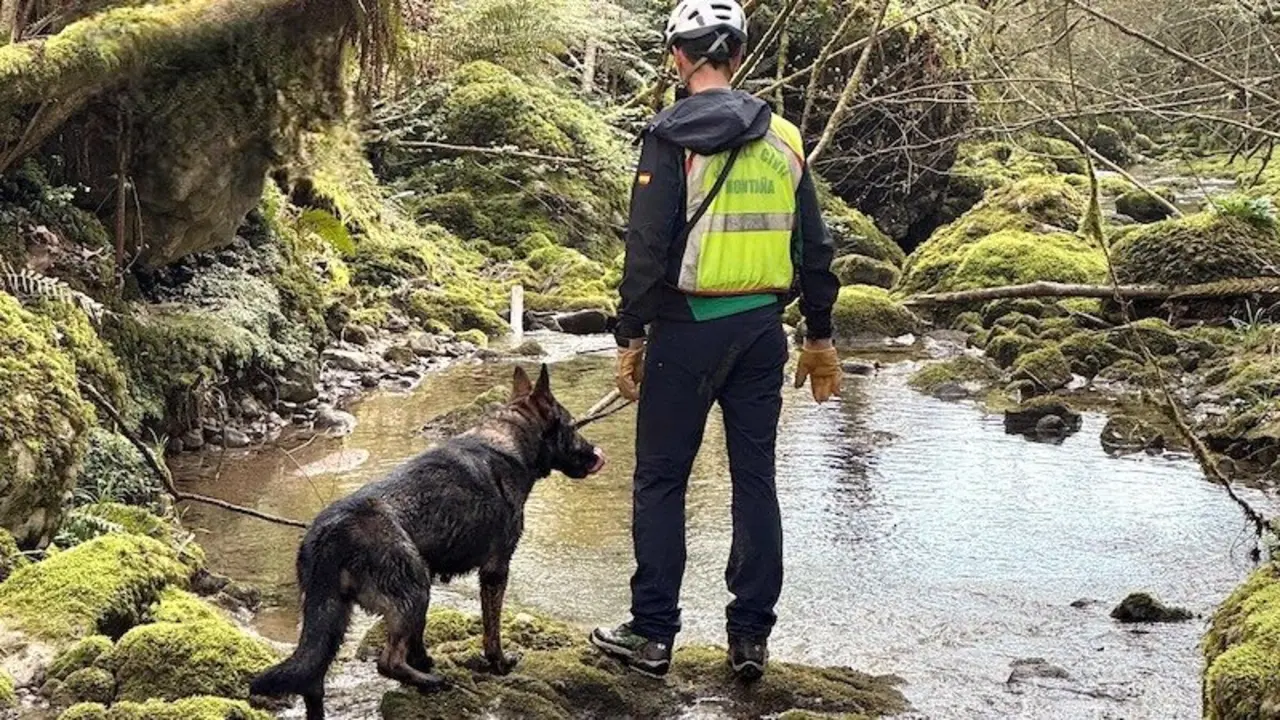 búsqueda, geas, rescate, guardia civil, perro, arroyo, río, cadáver,