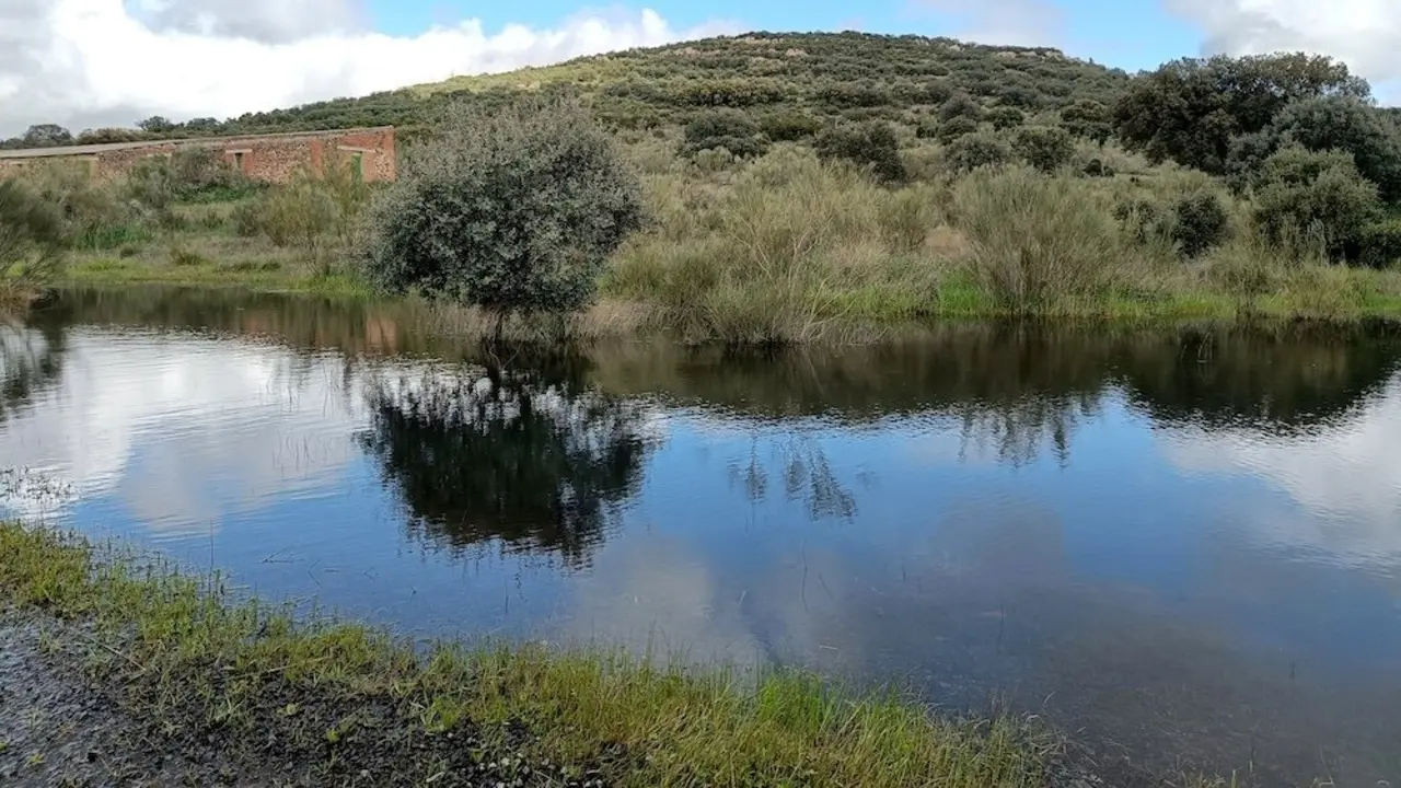 Vista de las acumulaciones de agua que se observan en el campo en Villamayor de Calatrava (Ciudad Real) este sábado - EFE/Beldad