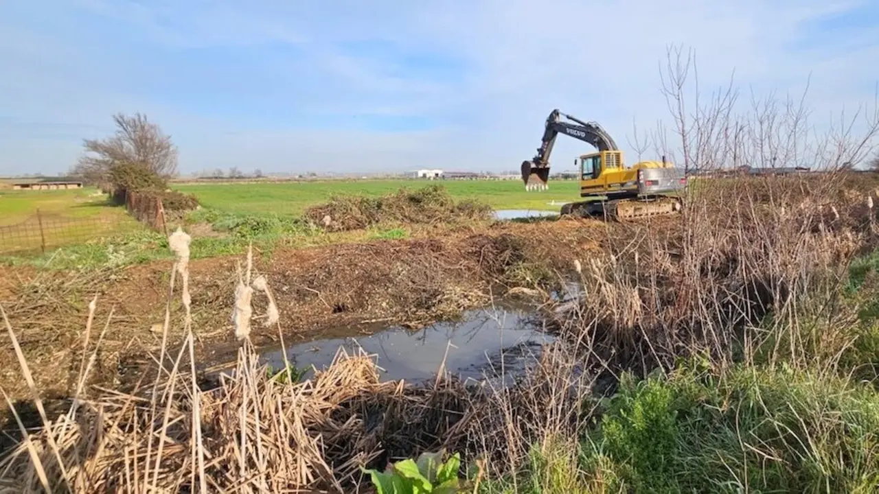 UPA piden a la Confederación que limpie los cauces del río Tajo o deje limpiar
