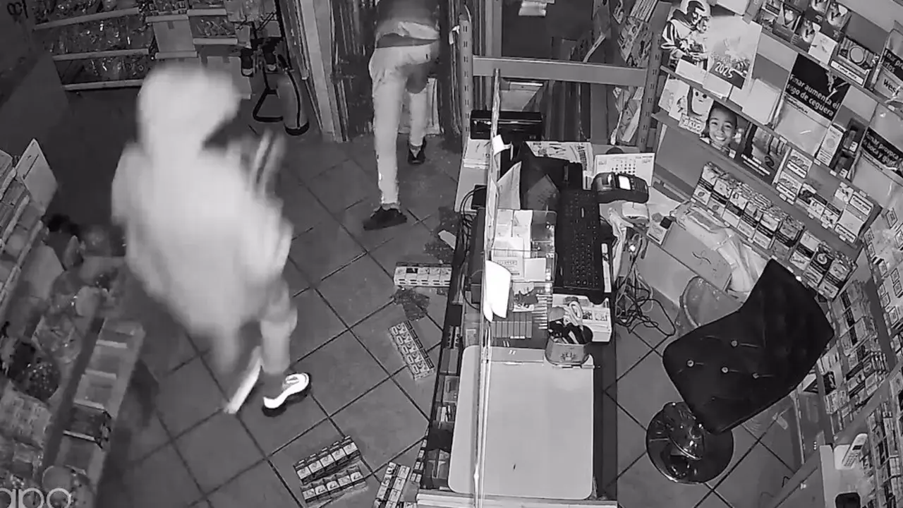 Seis detenidos miembros de un grupo criminal por robos en varias comunidades autónomas