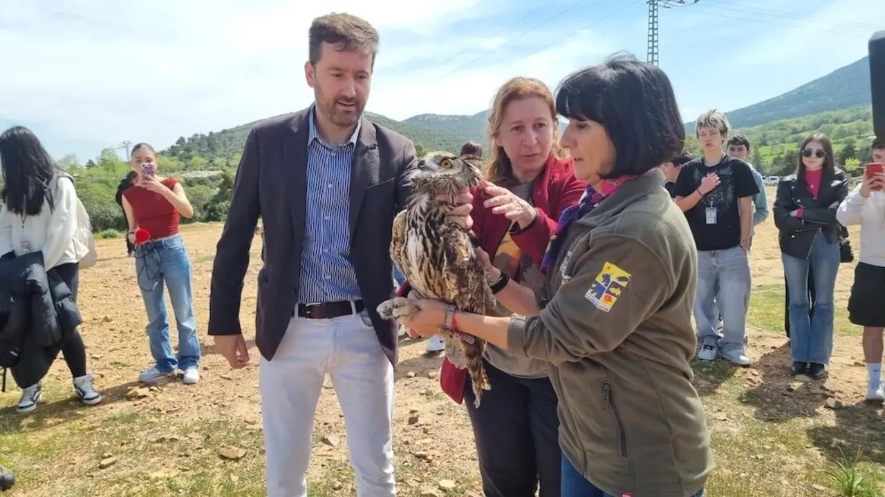 Liberan cinco ejemplares de aves recuperados en el CERI de Sevilleja de la Jara (Toledo)