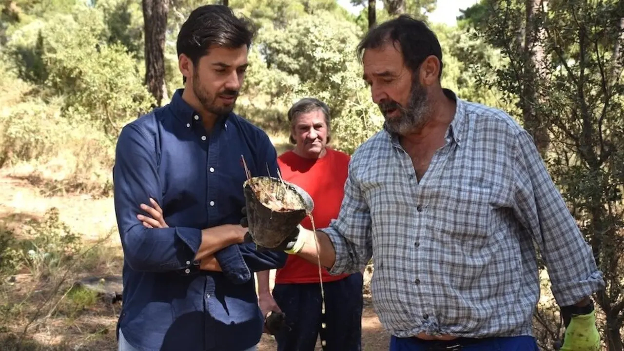 La Diputación de Cuenca publica la convocatoria de ayudas al sector de la resina